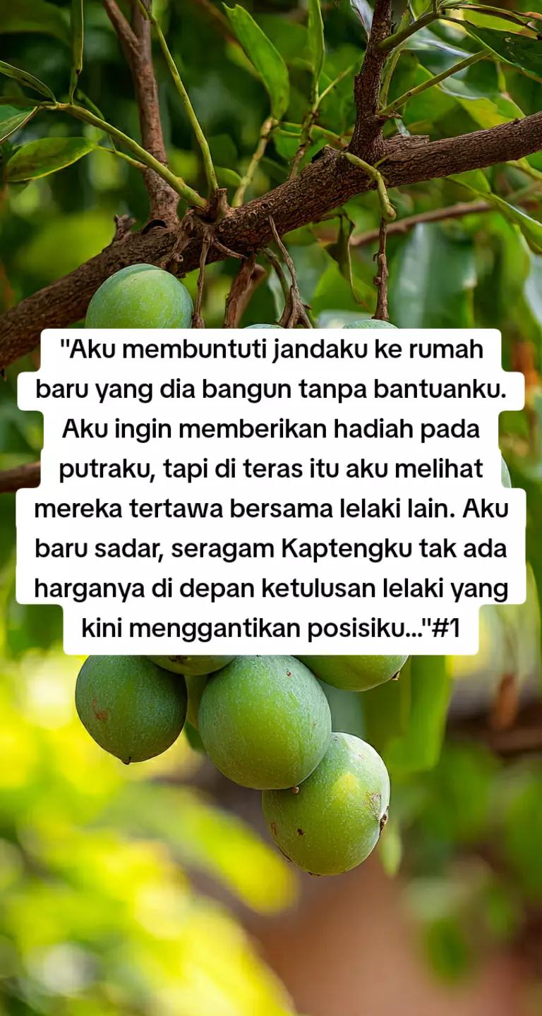 @Promosi Novel Online
