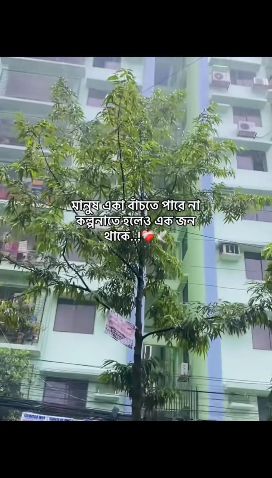 @💫🥀 ⊶N⊶O⊶Y⊶O⊶N⊶🥀💫