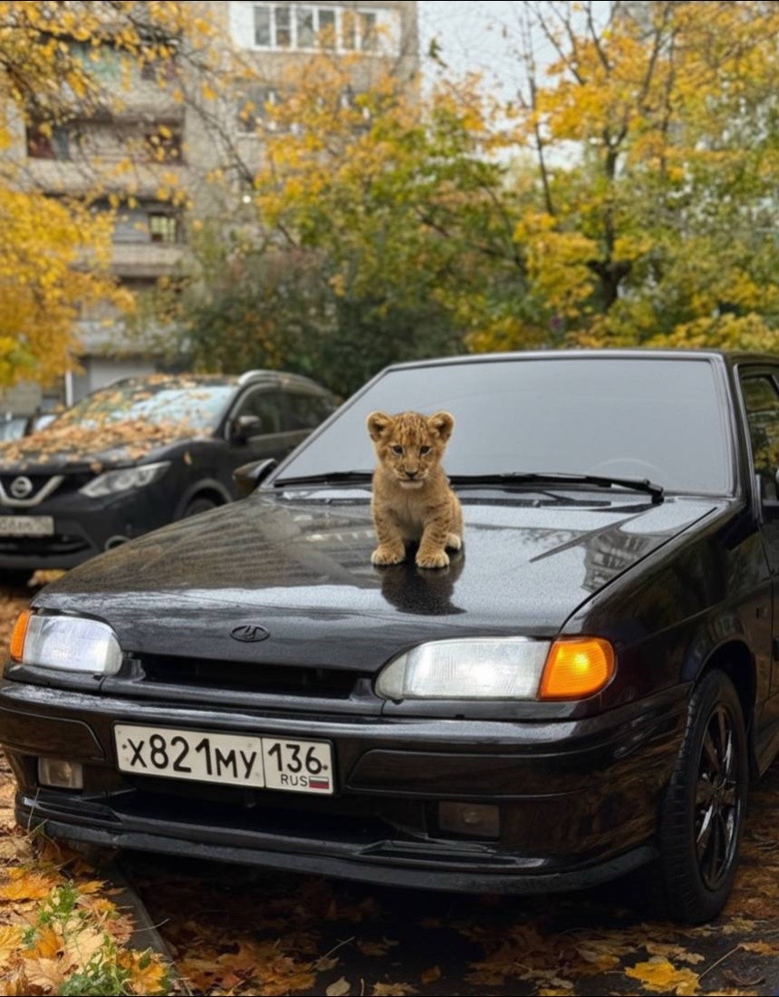 @тгк:gudz_team
