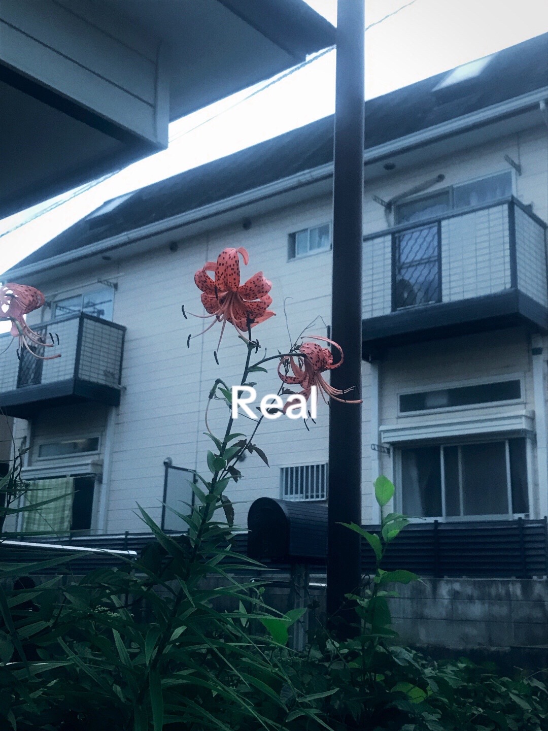@M💗💗