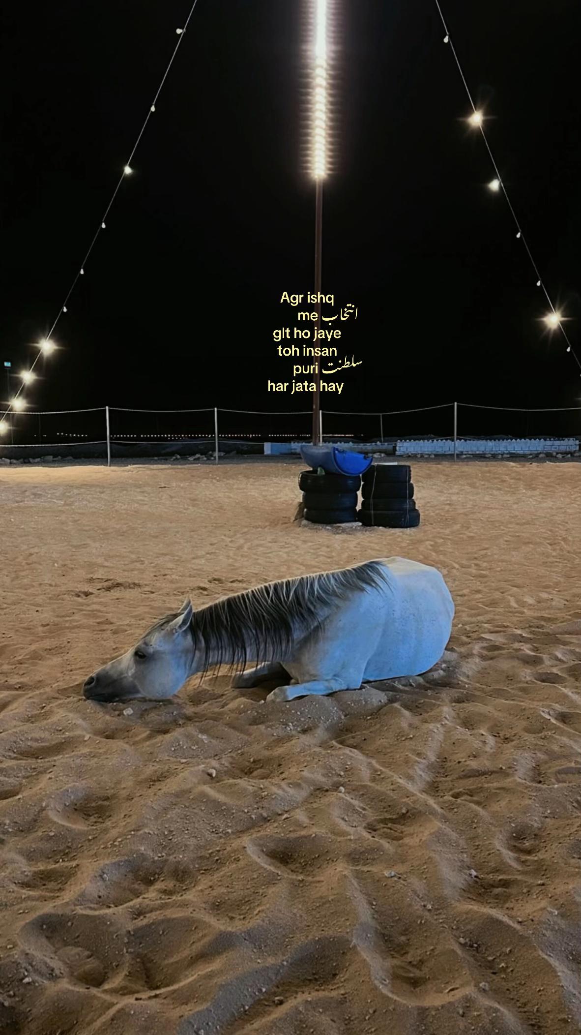 @۵ب🚩۰