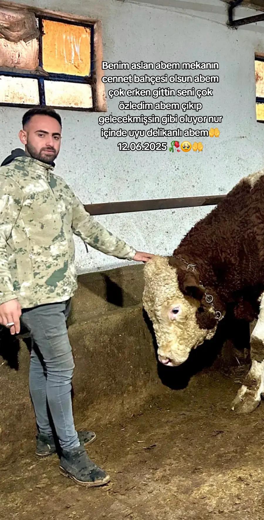 @💎 K&Uuml;&Ccedil;&Uuml;K CELEP 💎