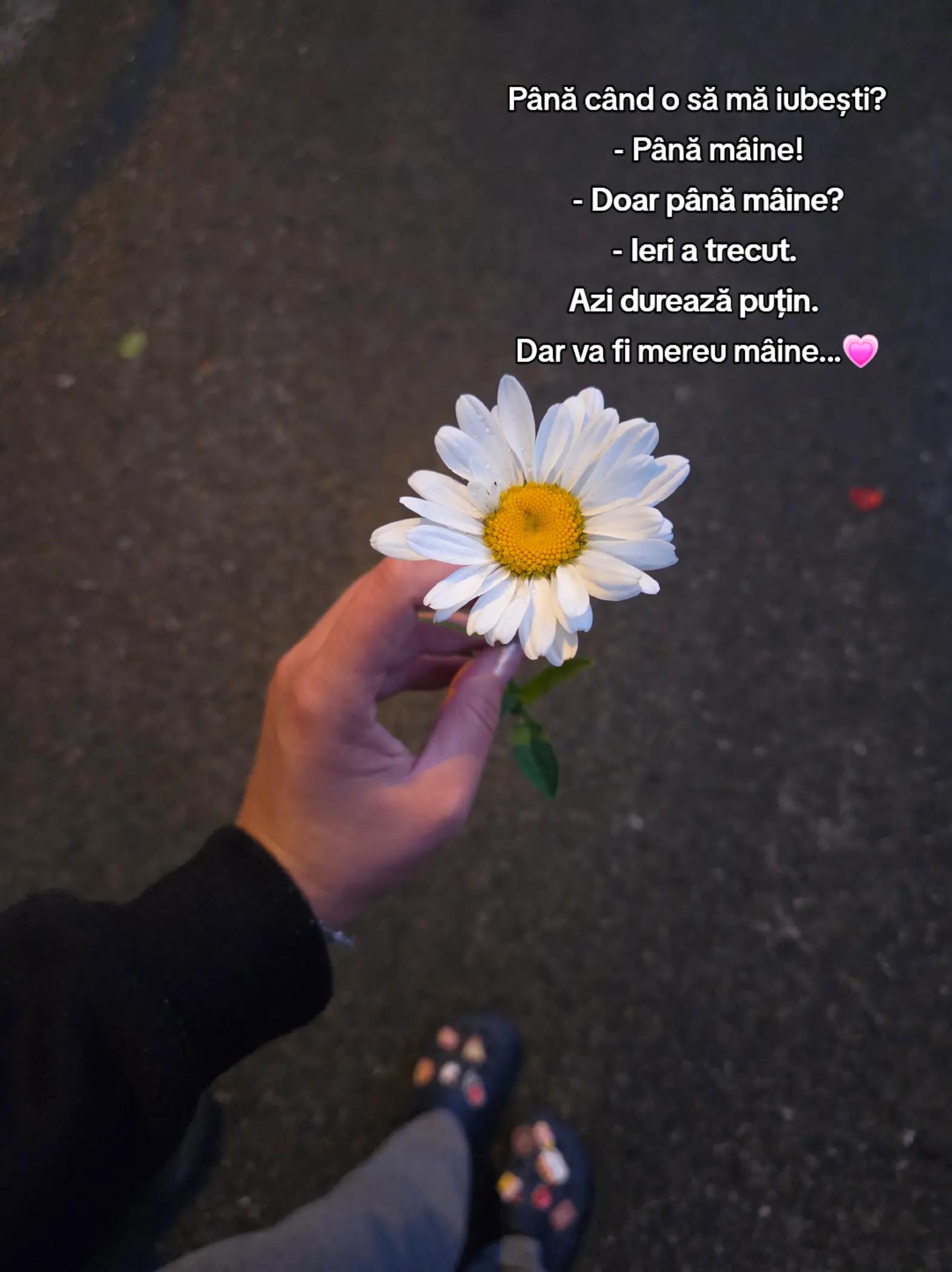 @Dora