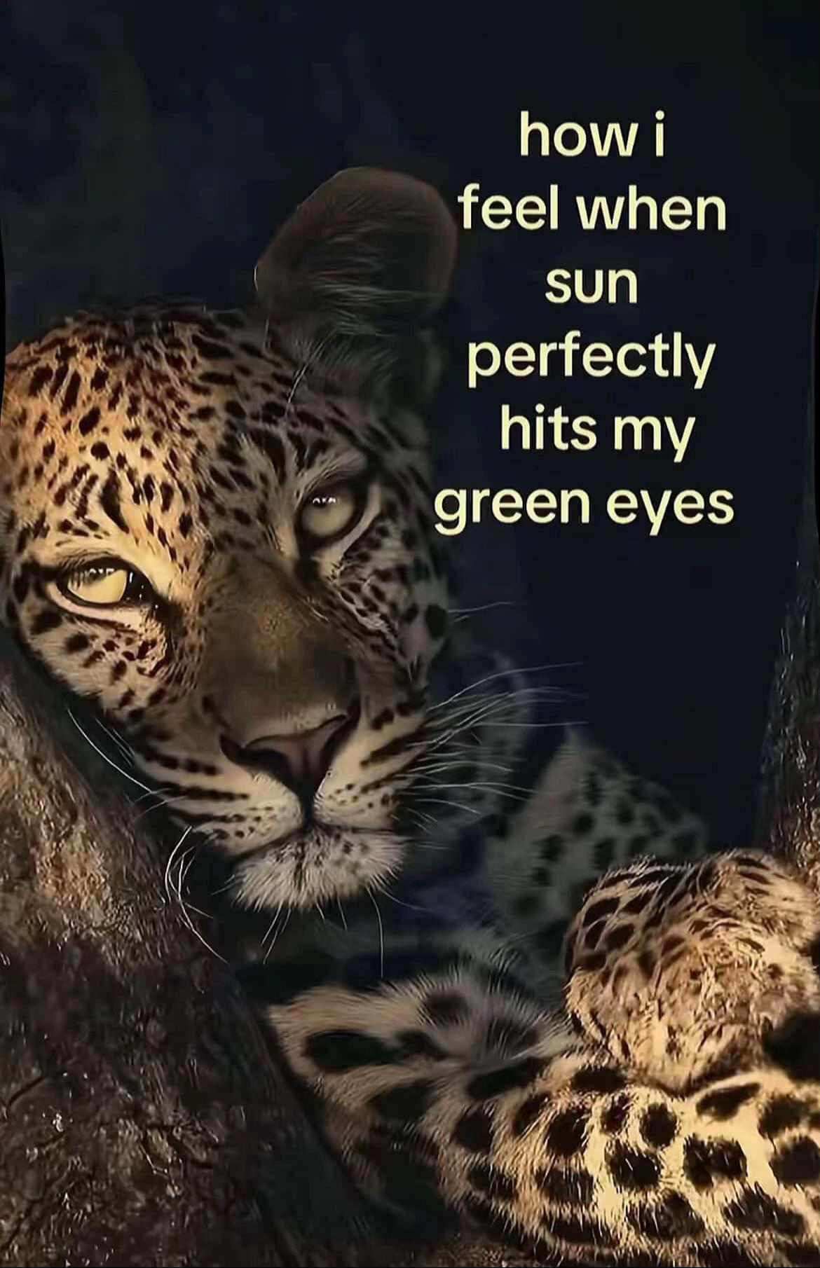 @Mira Toncheva