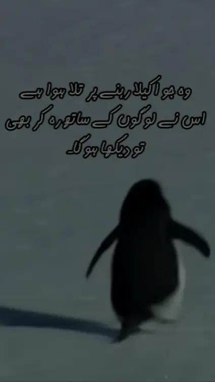 @Mudassar Iqbal