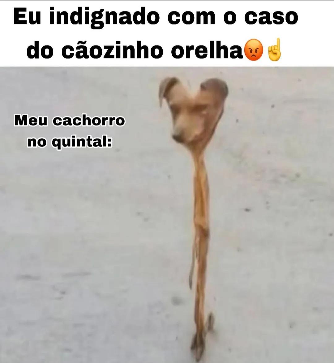@Daniel Reis ✓