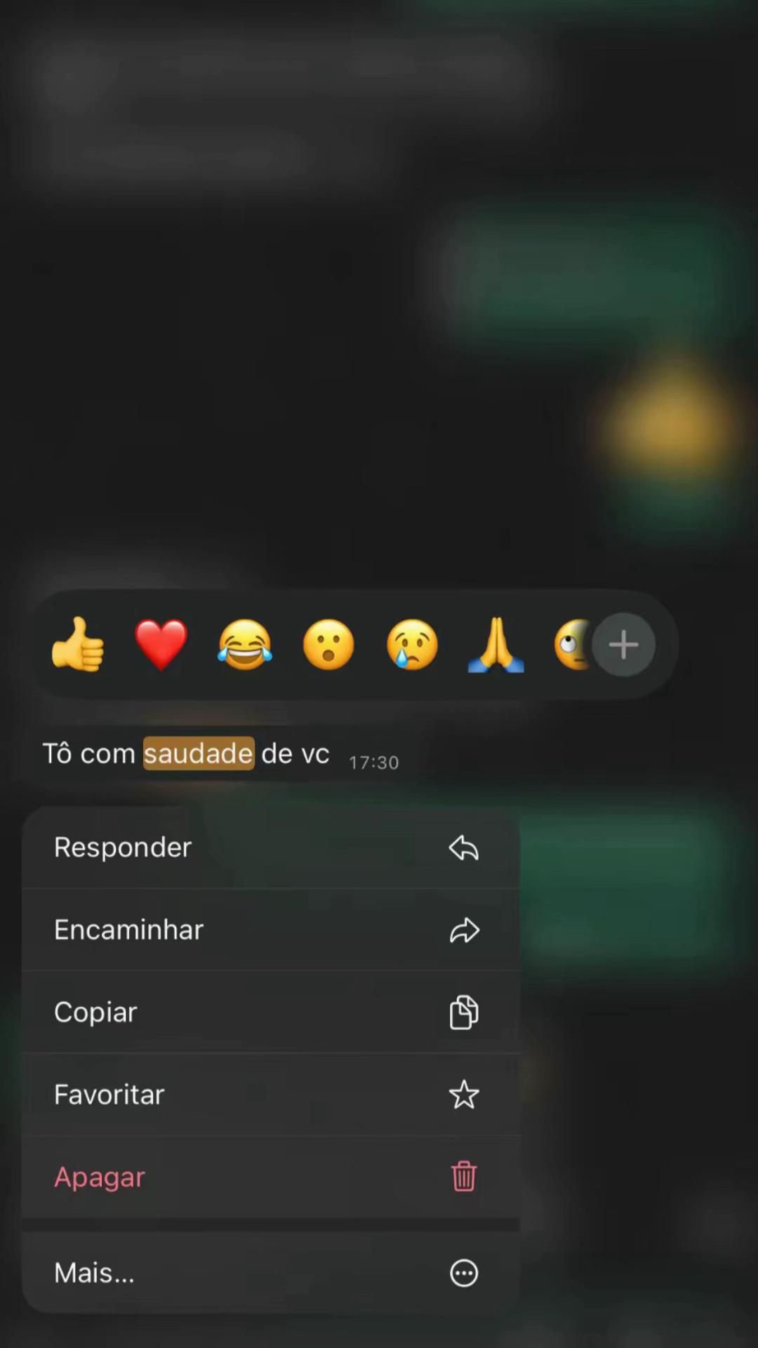 @mariasilvah003