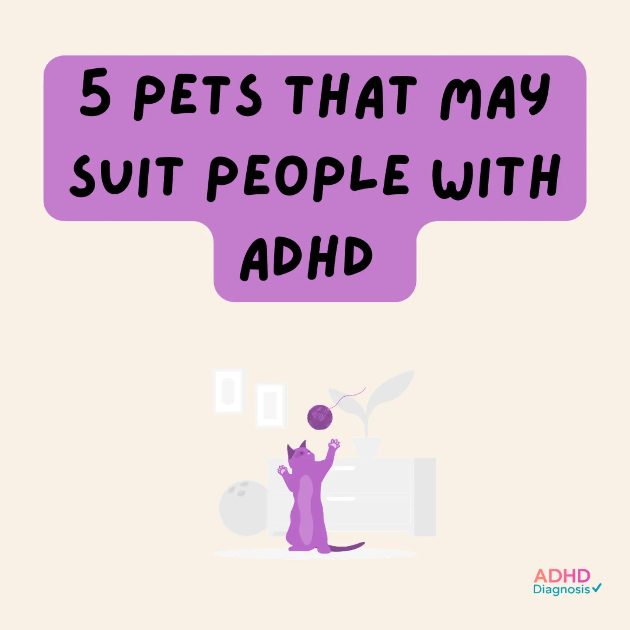 @ADHDDiagnosis