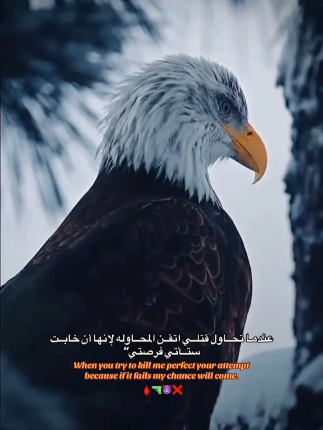 @المنص🤩🫵🏻