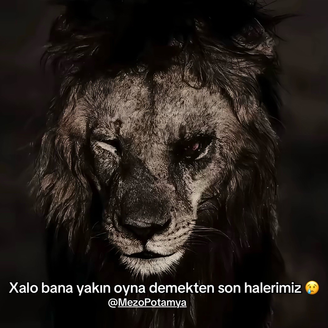 @S İ L O P İ L İ