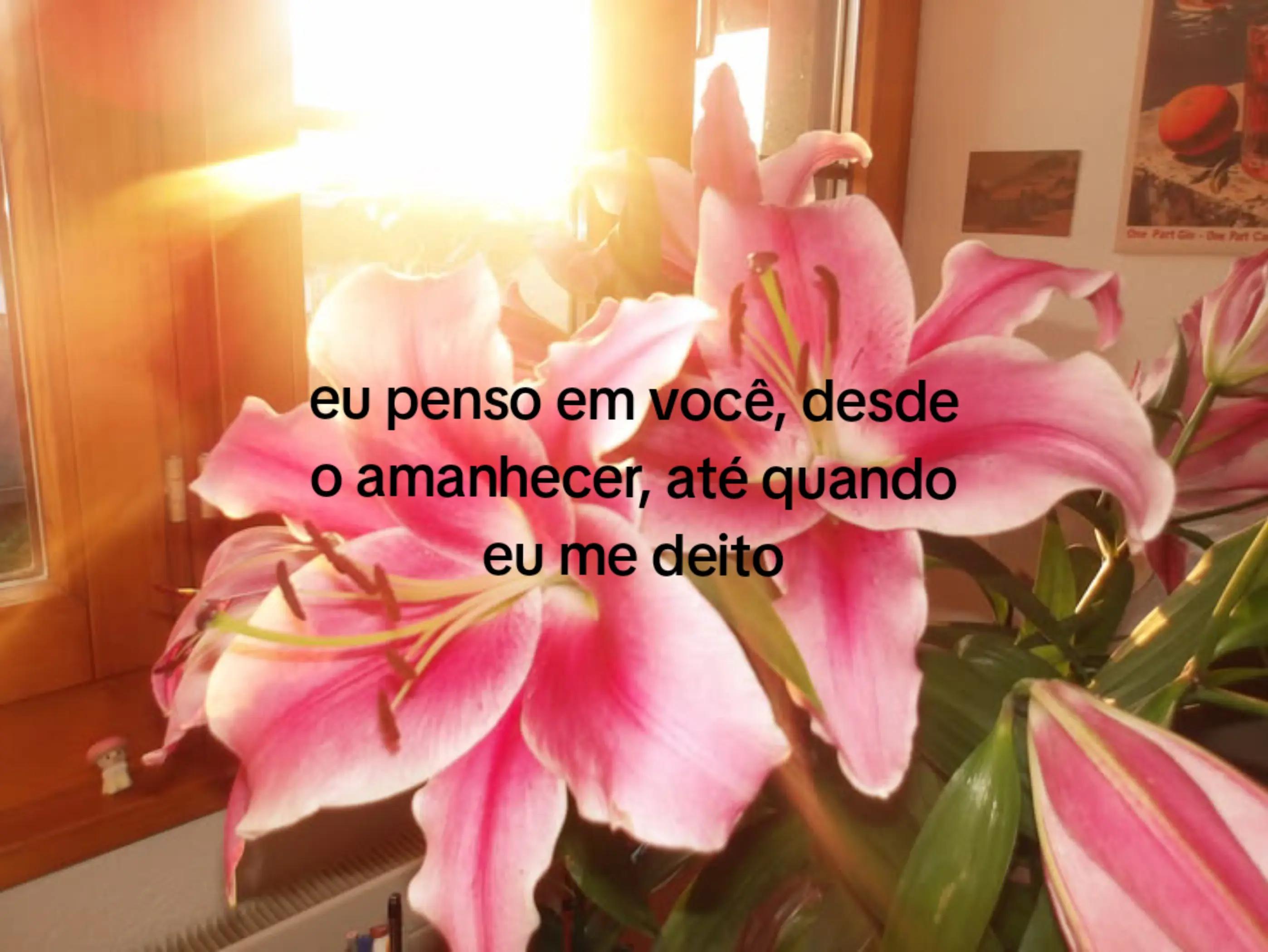 @sah⁷