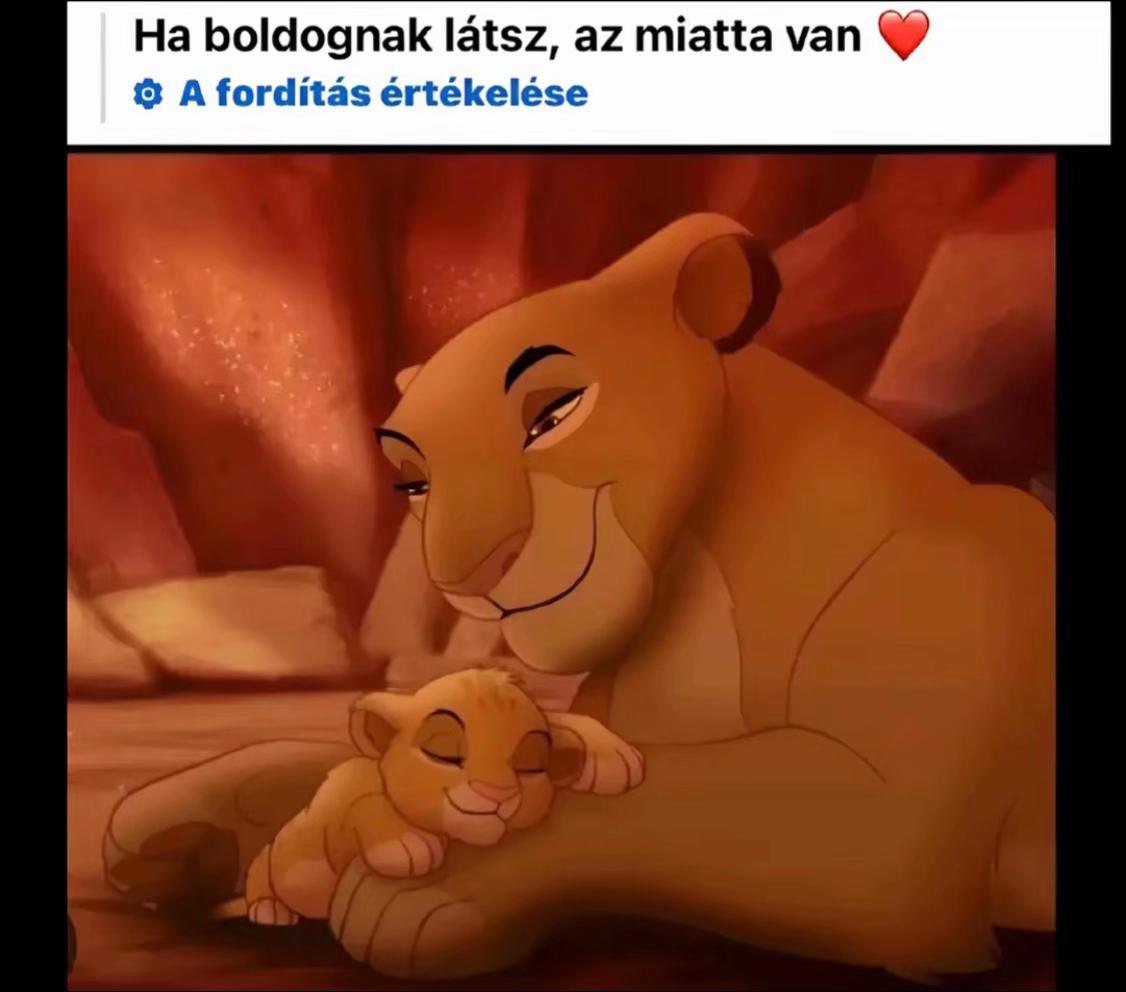 @adikingpotfiok🥲💖