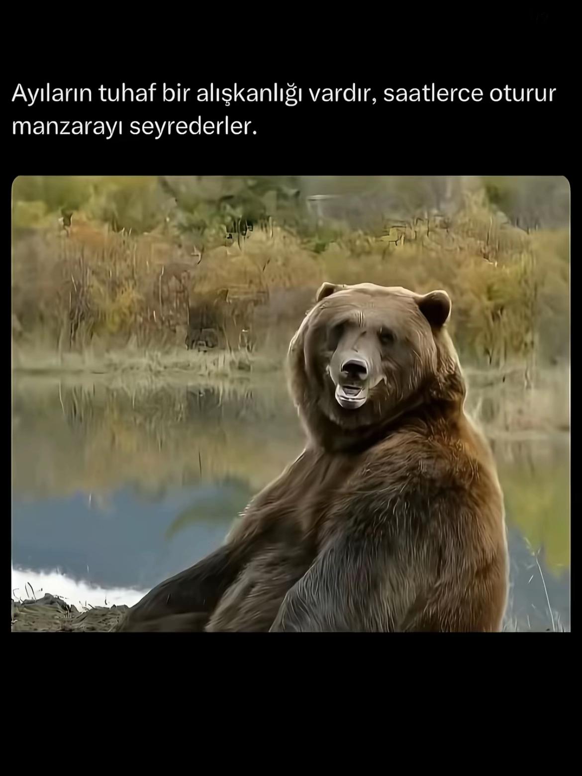 @𝓜𝓾𝓱𝓪𝓶𝓶𝓮𝓭