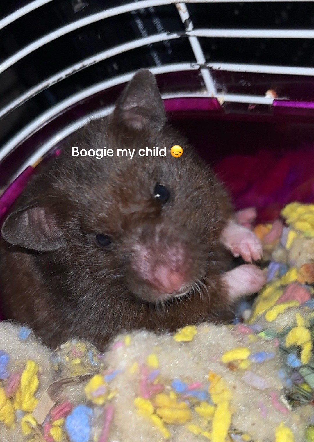 @Hiro