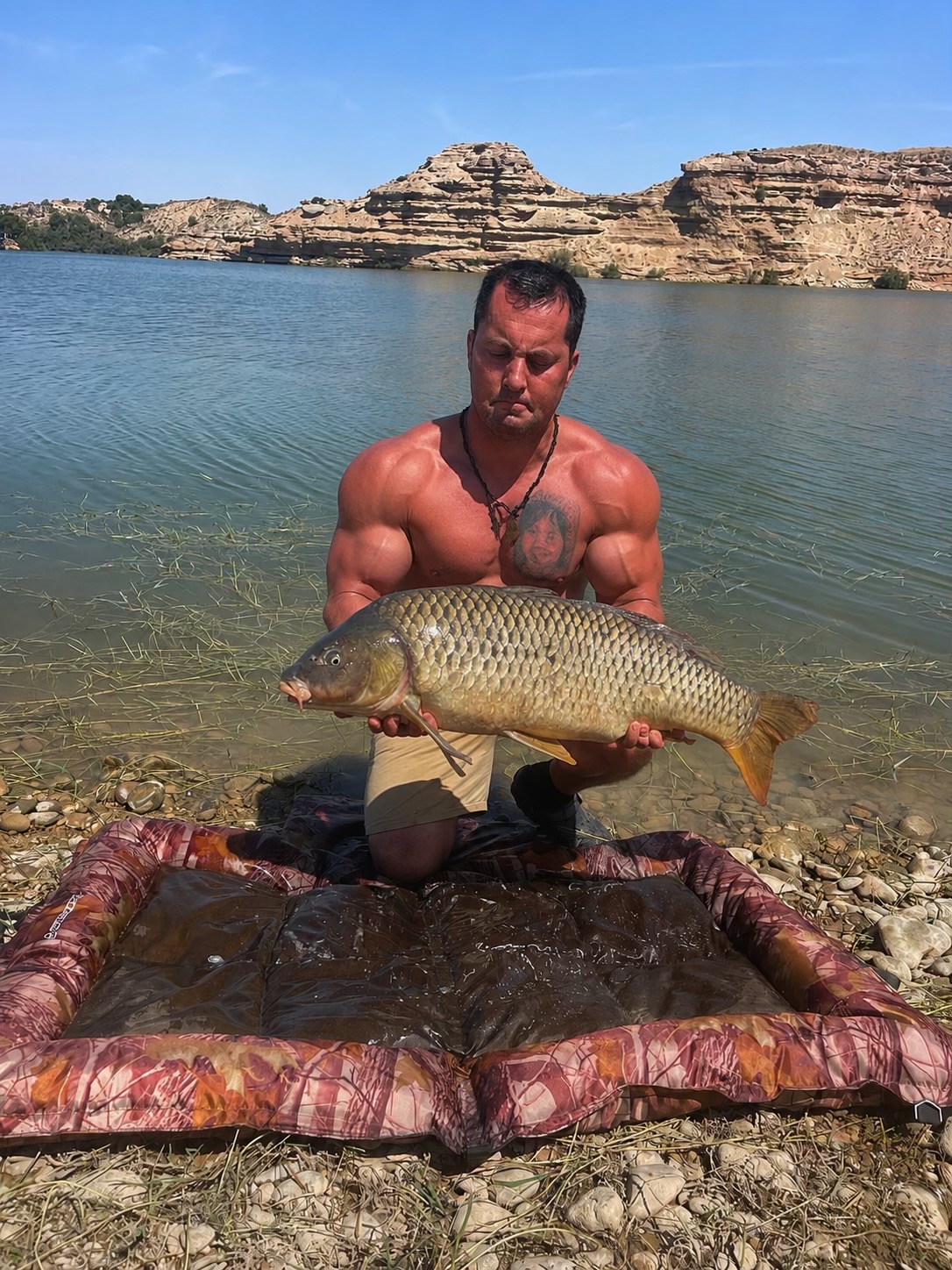 @Royal carp 🐟🐟🤩💪