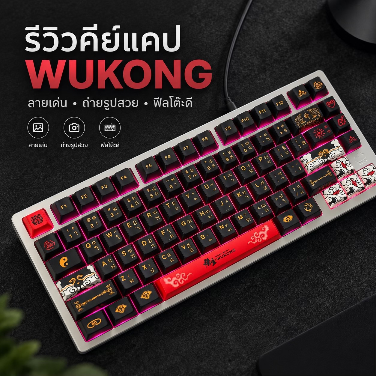 @แมวพารีวิว