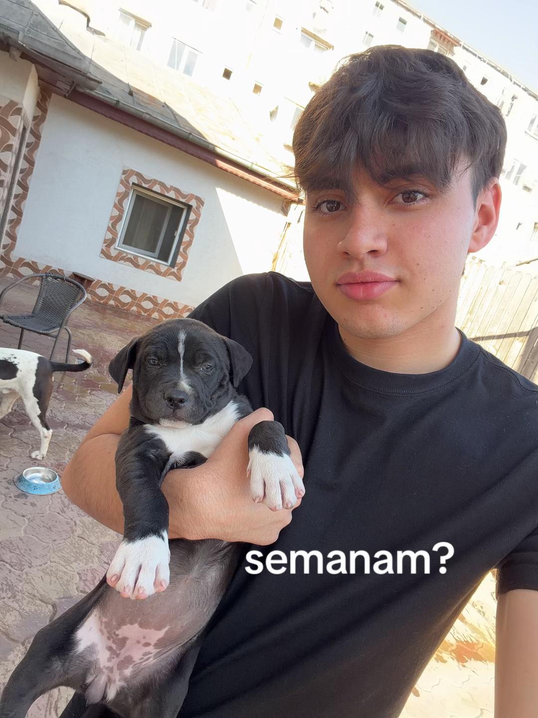 @Nio
