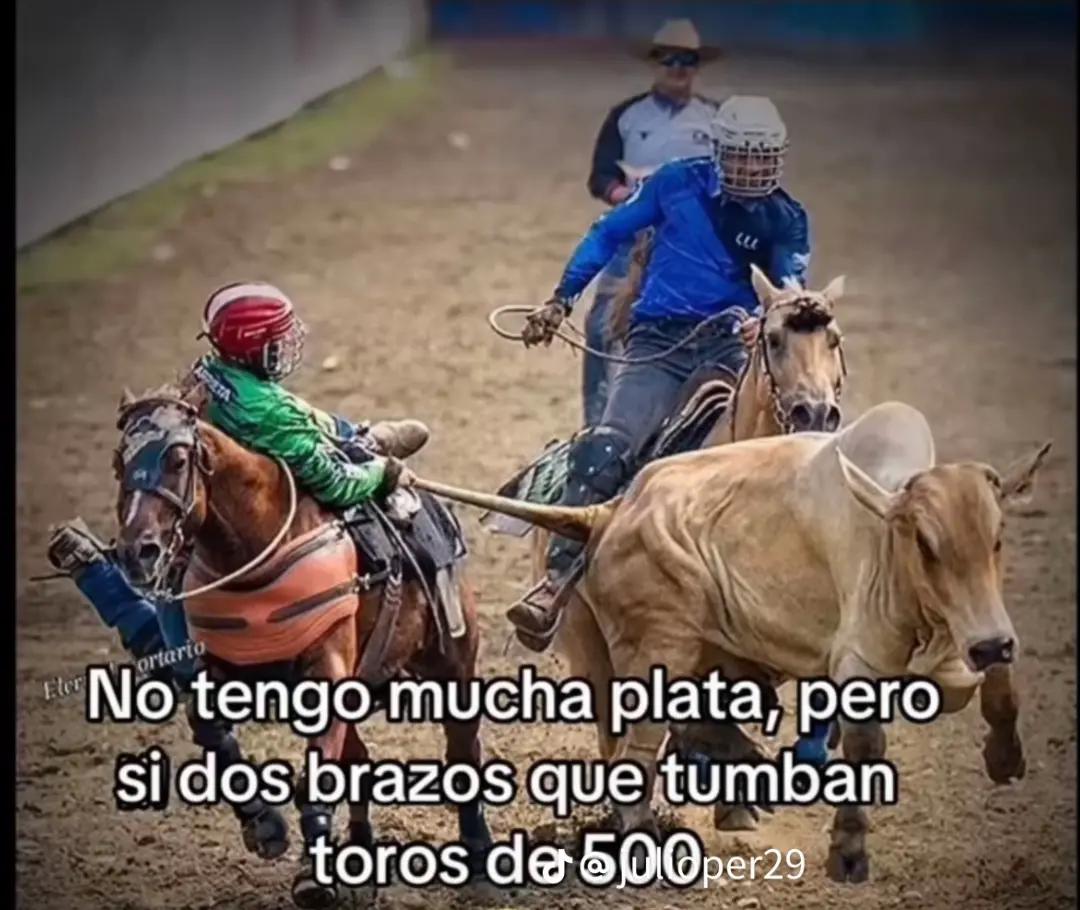 @JOSÉ DAVID