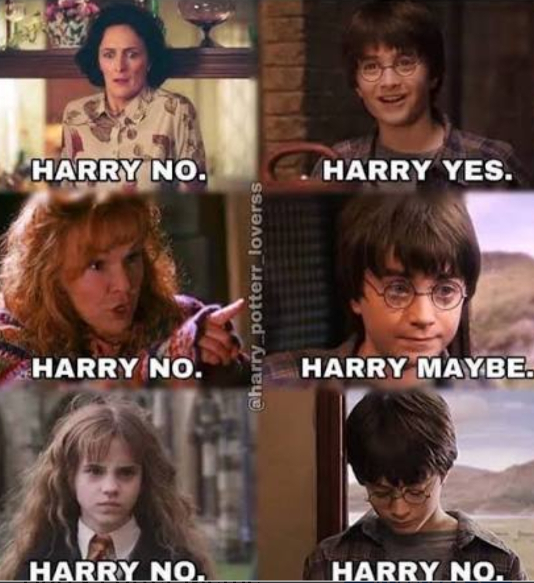 @harrypotterfan8507
