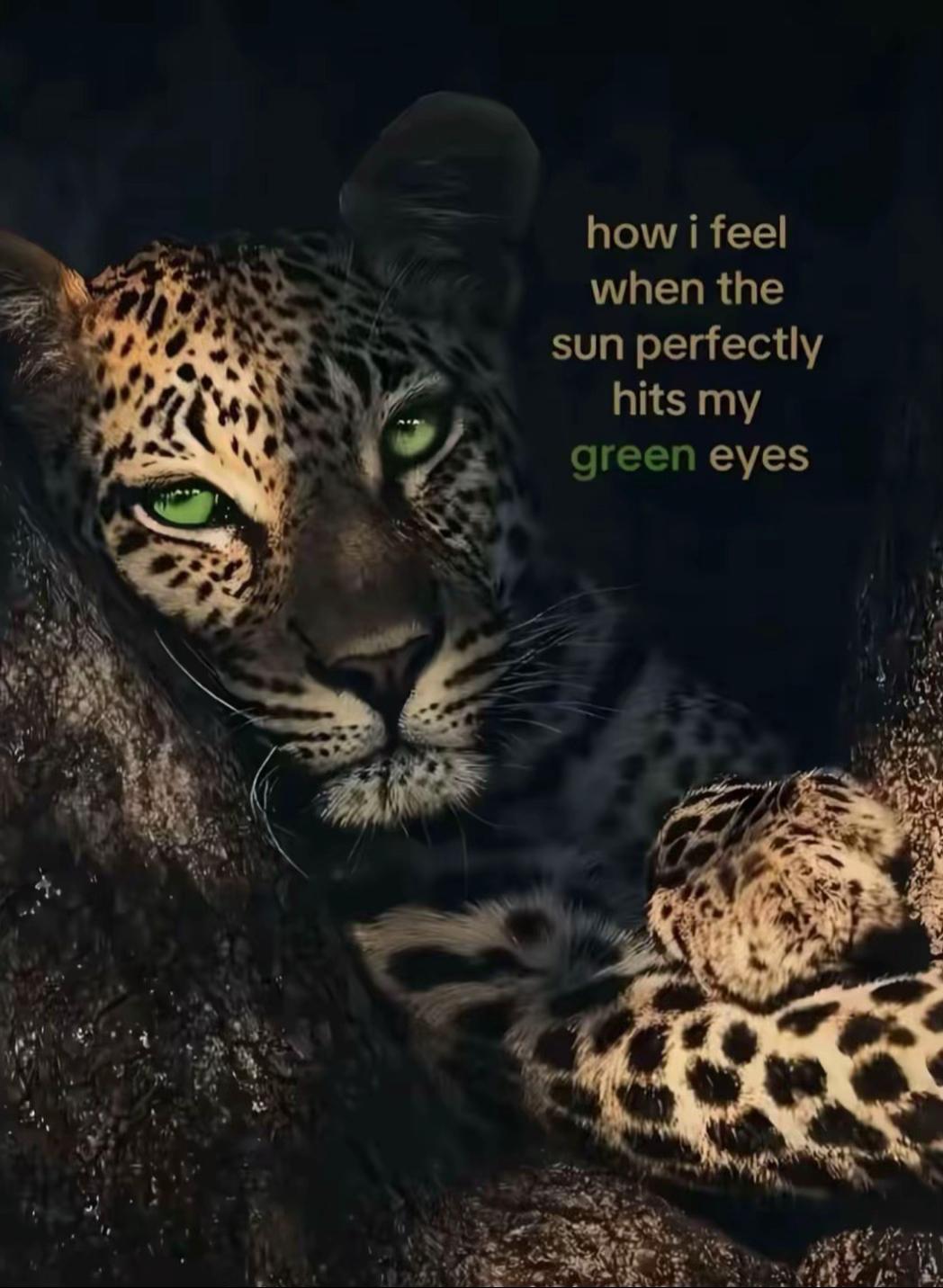 @️
