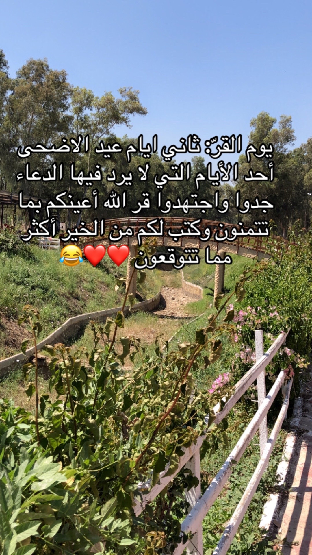 @🦢🌸