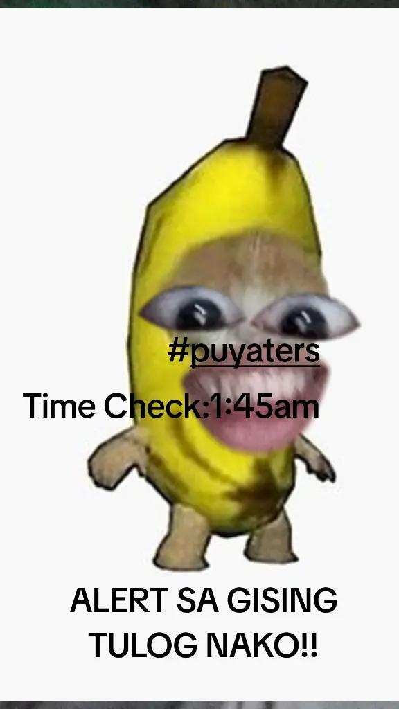 @BoB