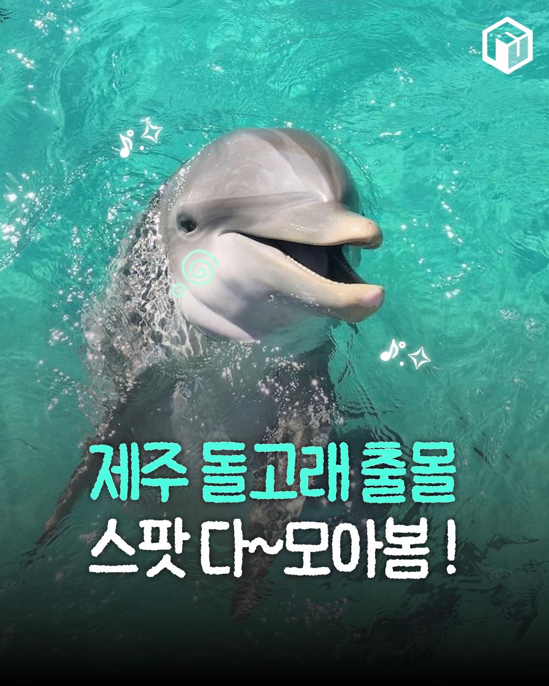 @제주톡톡