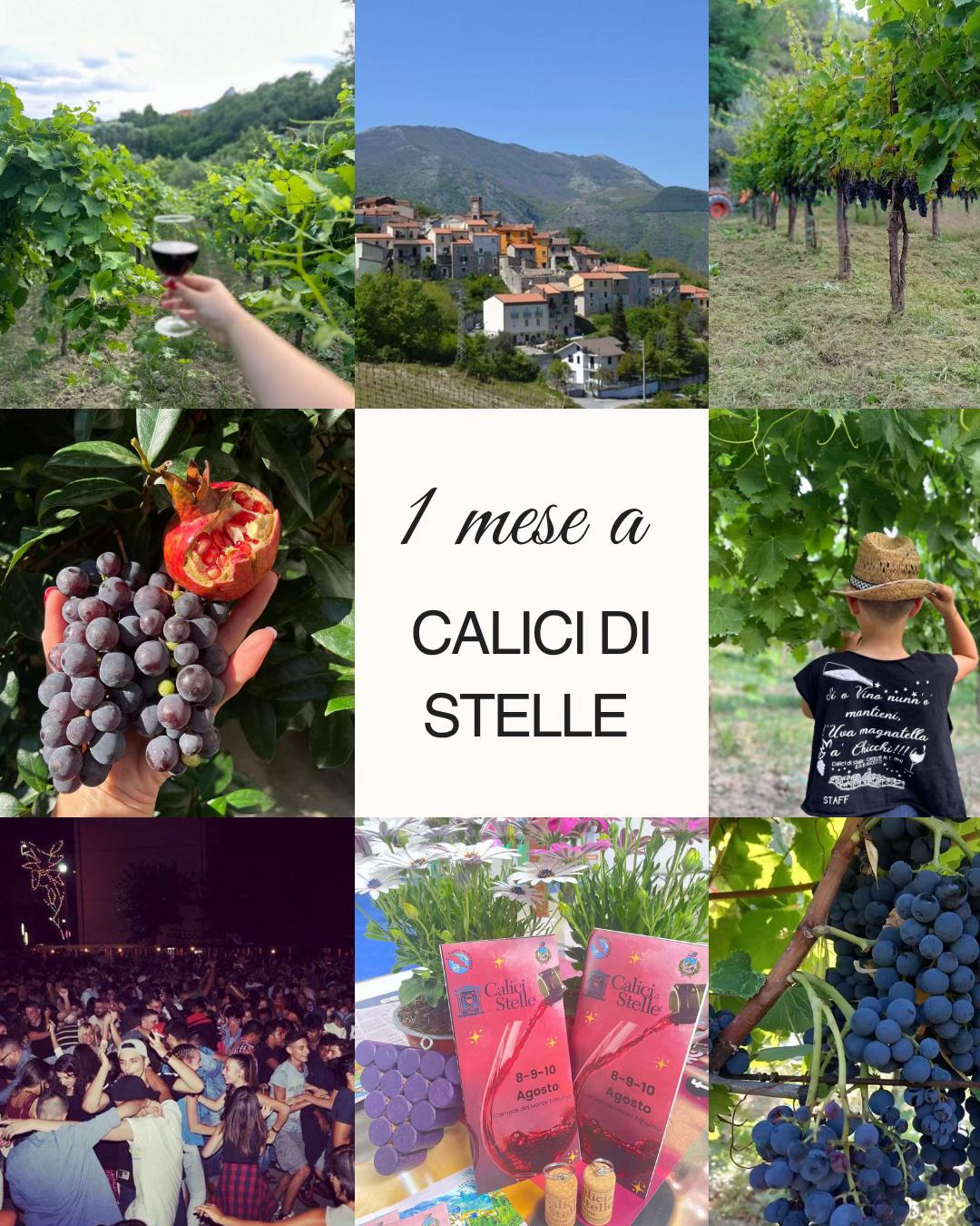 @Calici Di Stelle✨🍇🍷