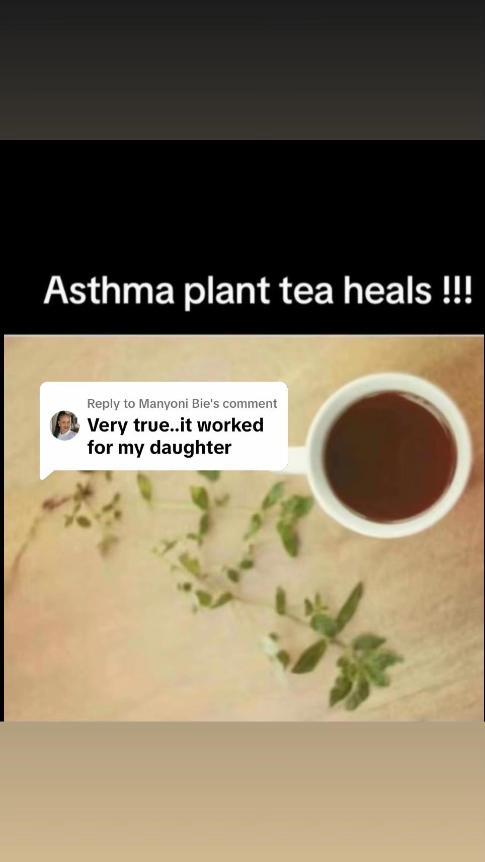 @Asthma-plant_herbalshop