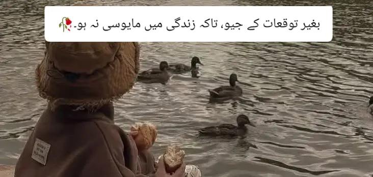 @Kainat Ch