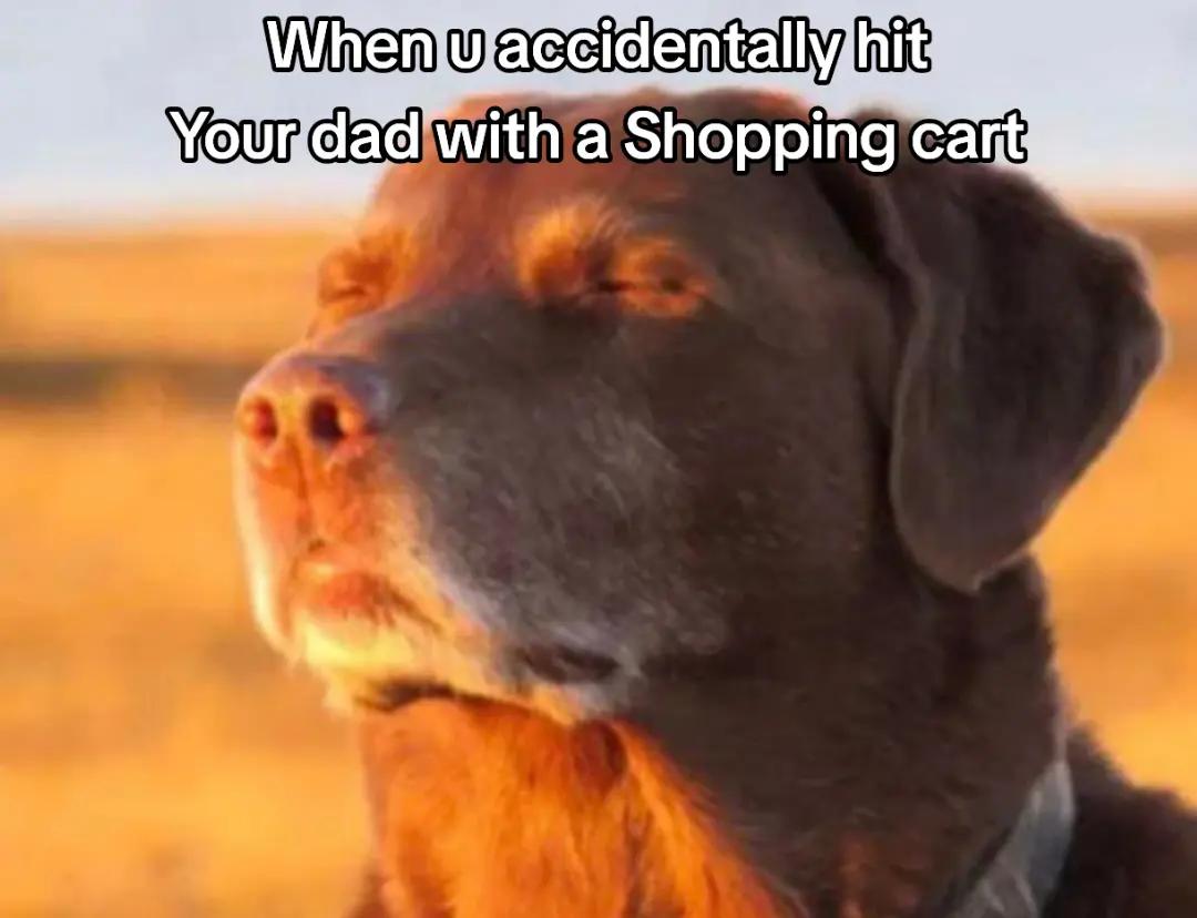 @𝓖𝓗𝓞𝓢𝓣