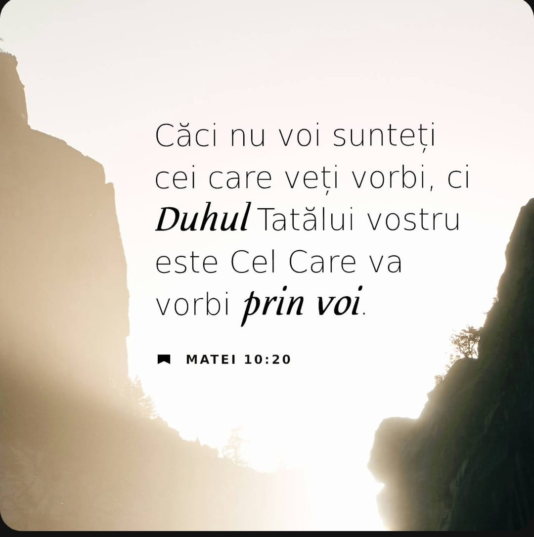 @mihai_ramona_lavinia