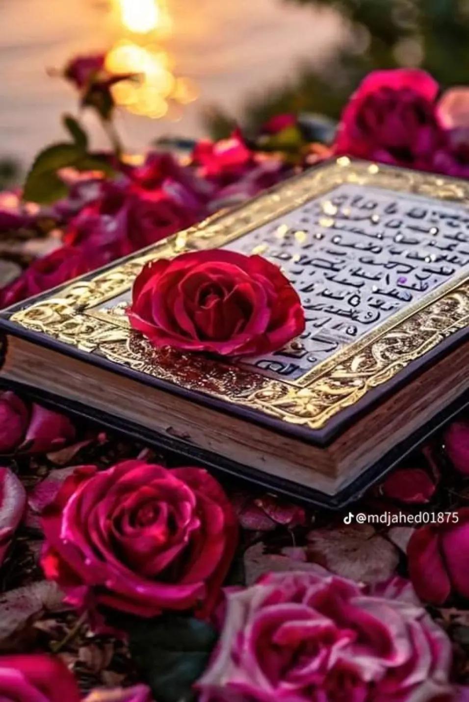 @đĢļ đšāĻŽā§āĻšāĻžāĻŽā§āĻŽāĻĻāĻļāϰāĻŋāĻĢ đĢļâ¤ī¸đĨ°đš