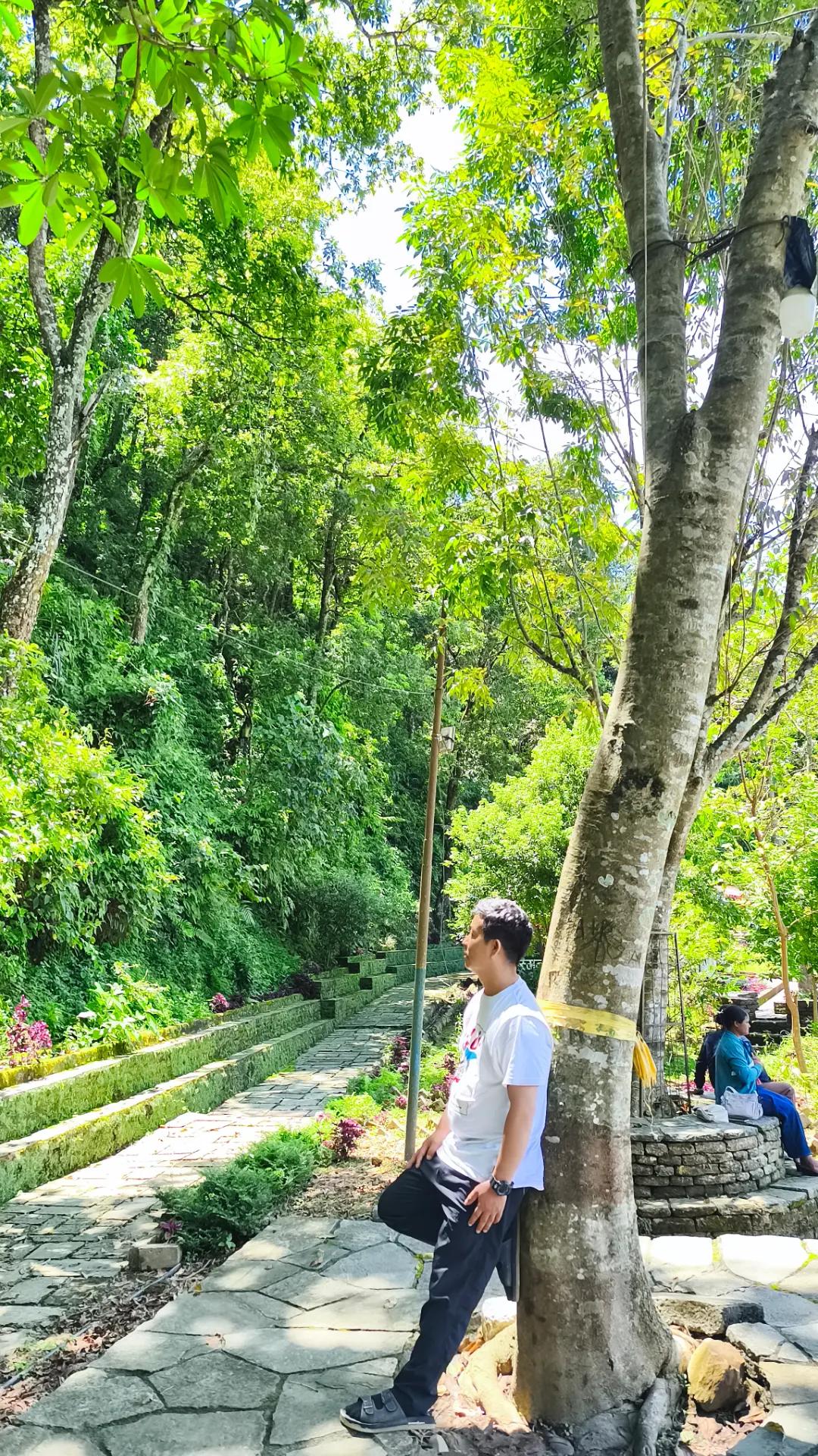 @Tekan Paija pun