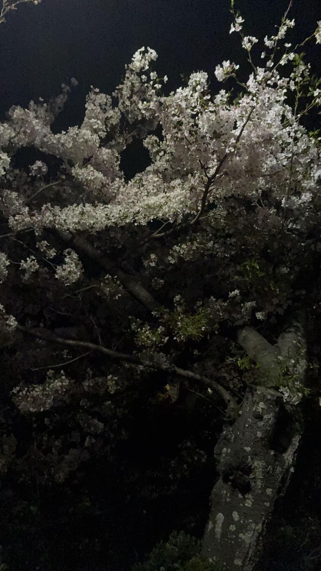 @ゴロゴロ