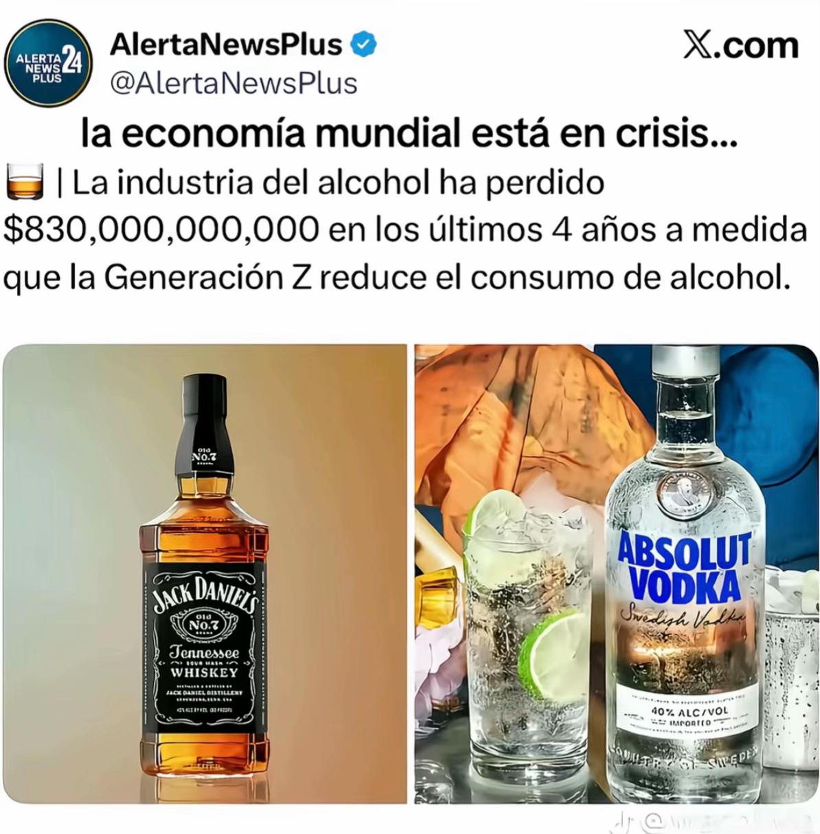 @Diego Volia 🦧