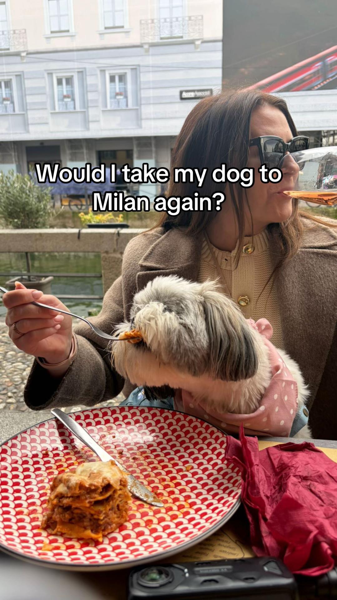 @Daisy | The Dog Travel App
