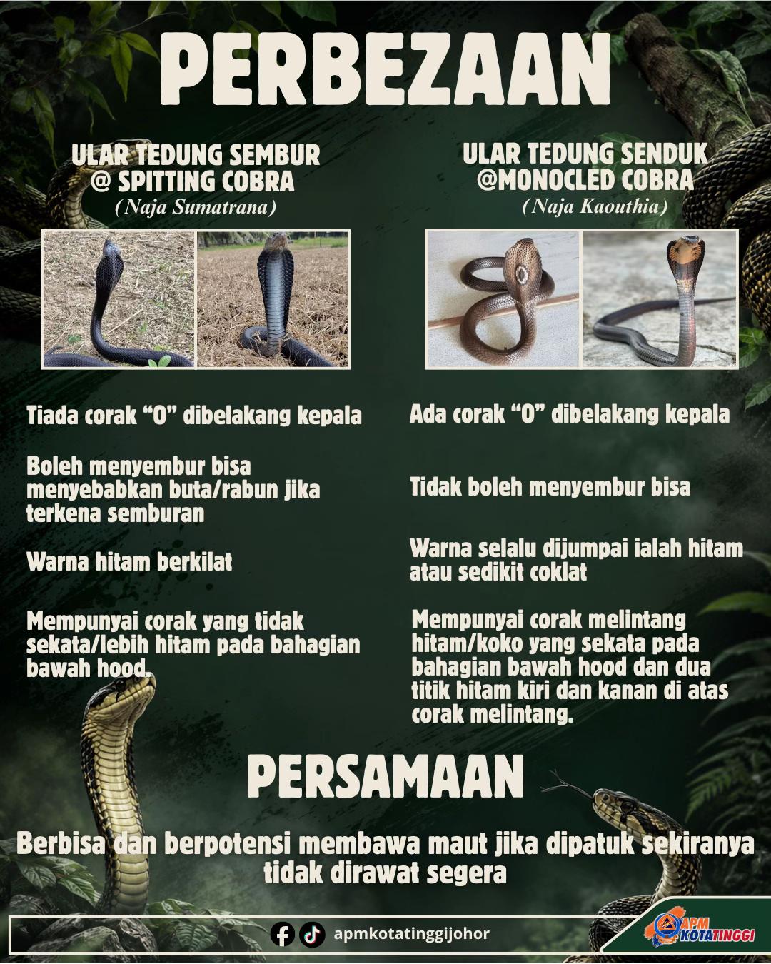 @apmkotatinggijohor