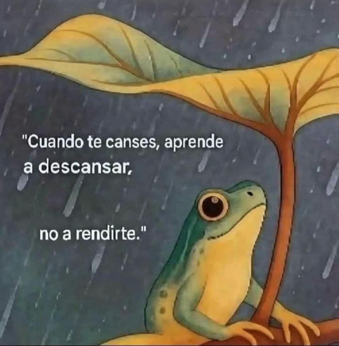 @Angeles Quintero campos