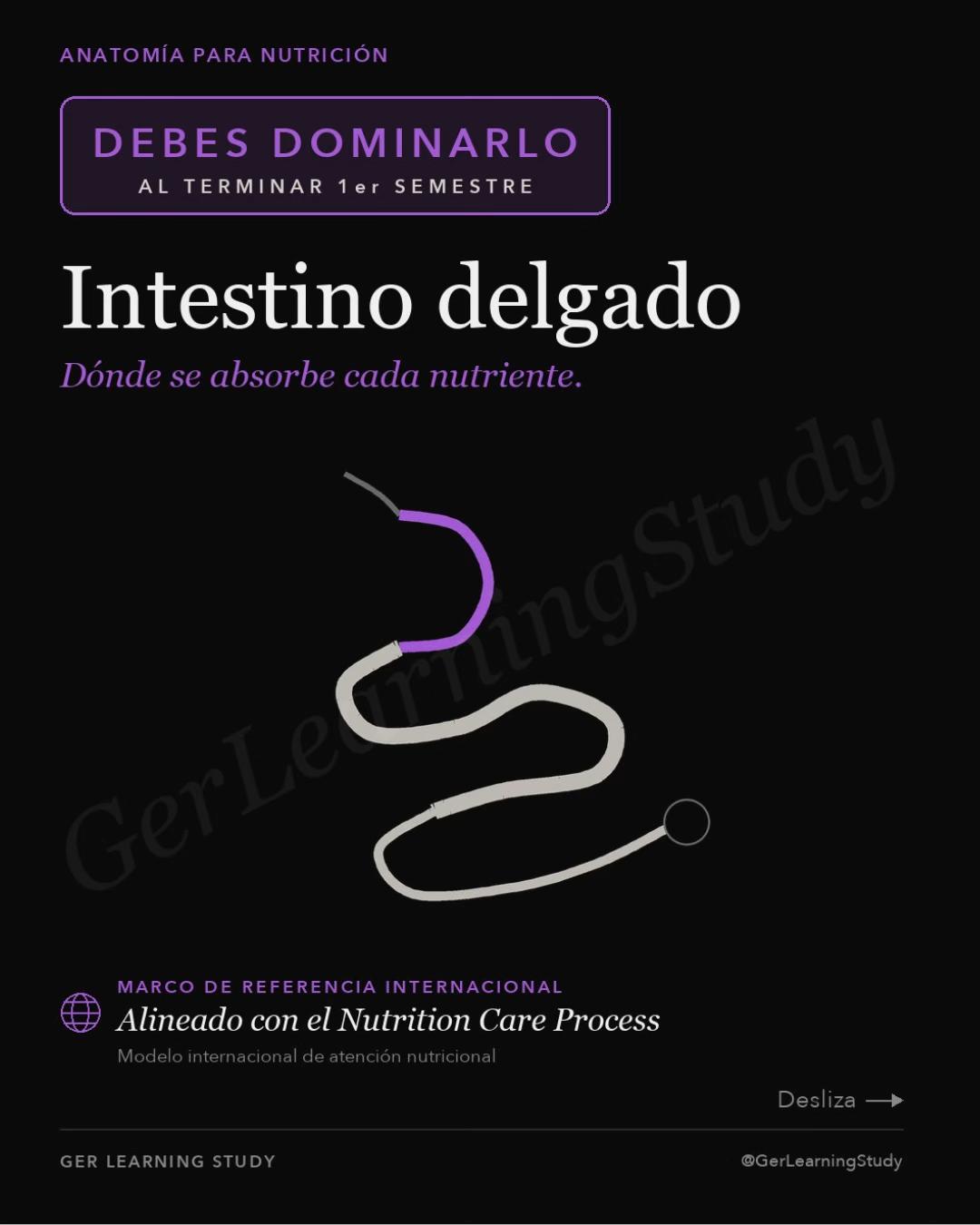 @GerLearningStudy