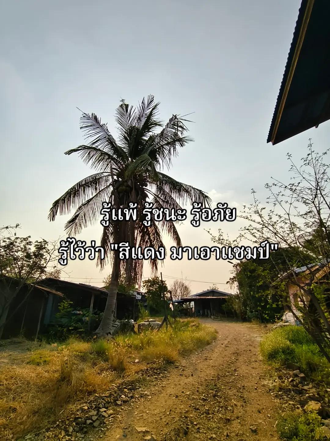 @อะไรก้มอทออ🥱