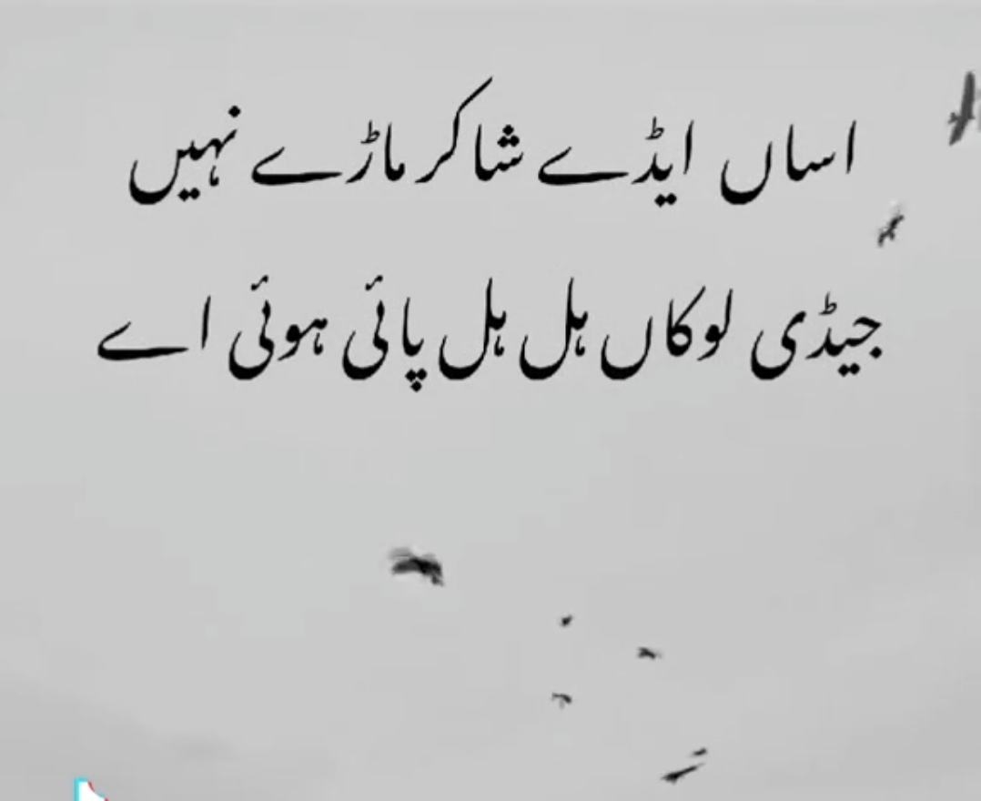 @Muhammad siddique