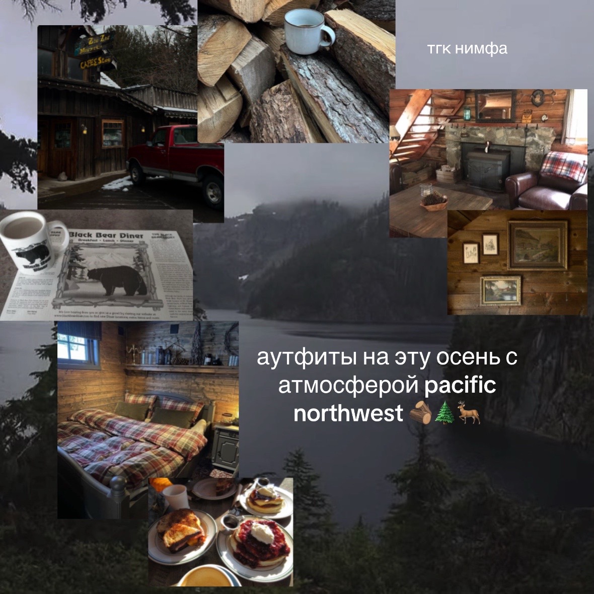 @нимфа🌲🪵
