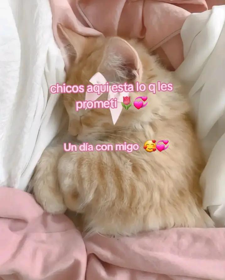 @user64399747610