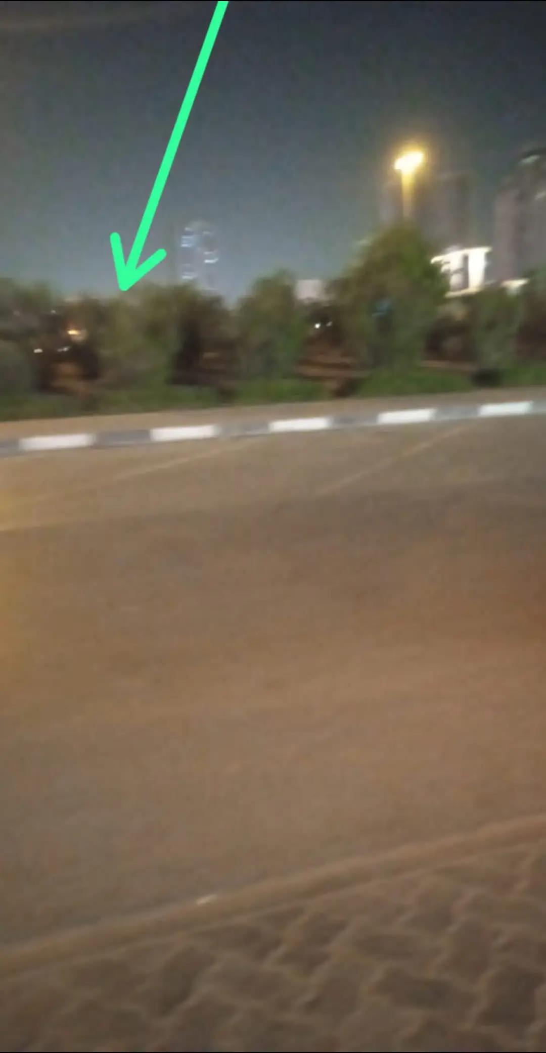 @محمد قاسم