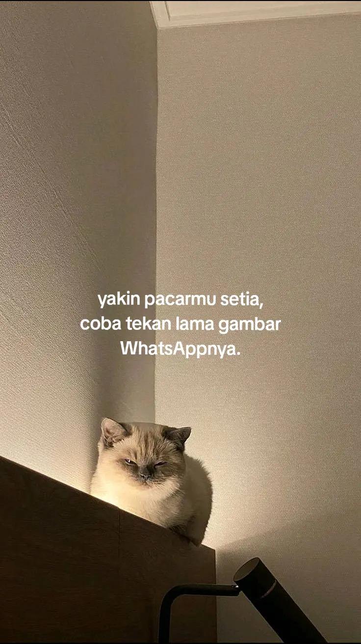 @kal
