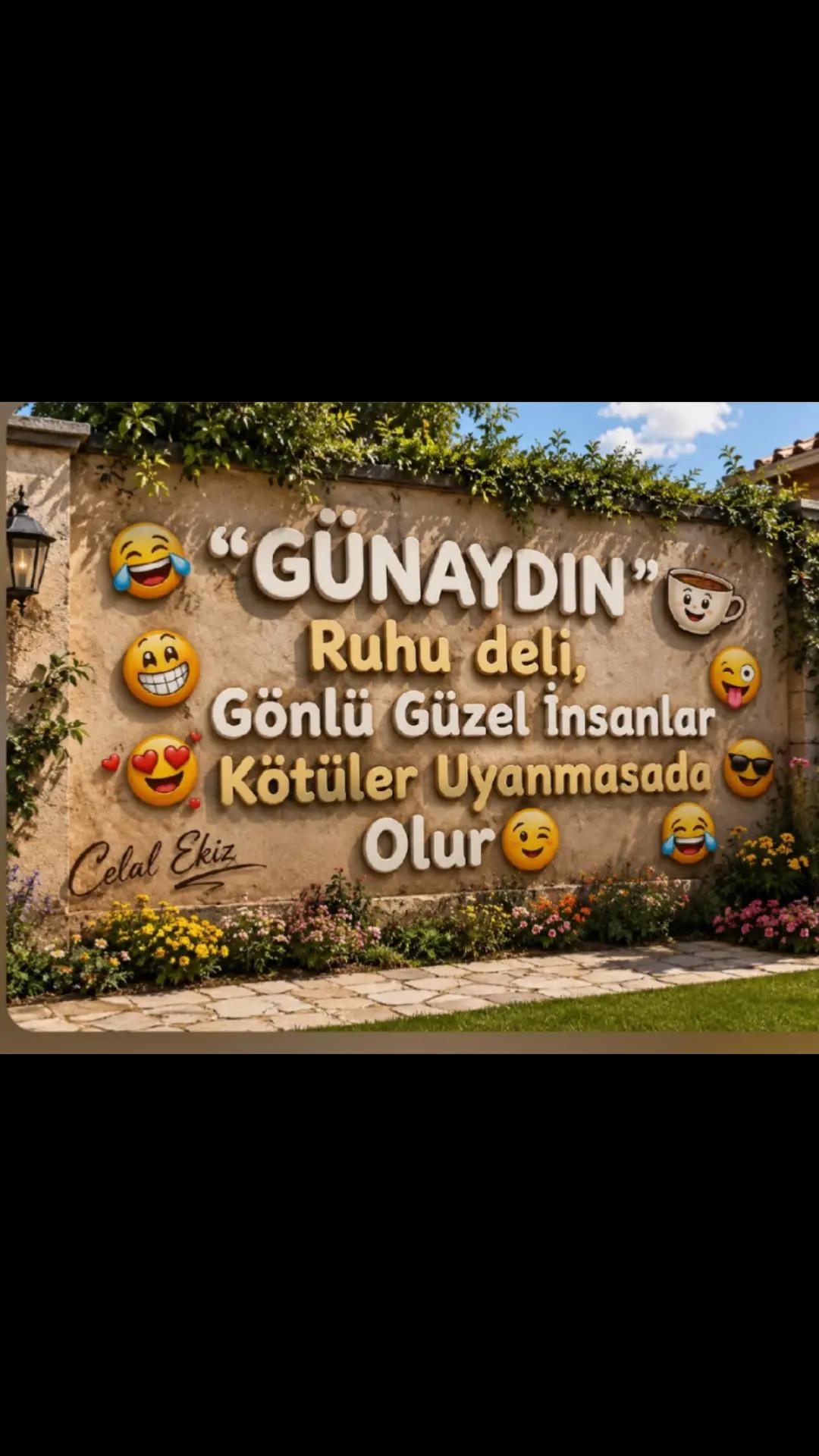@Mehmet tc