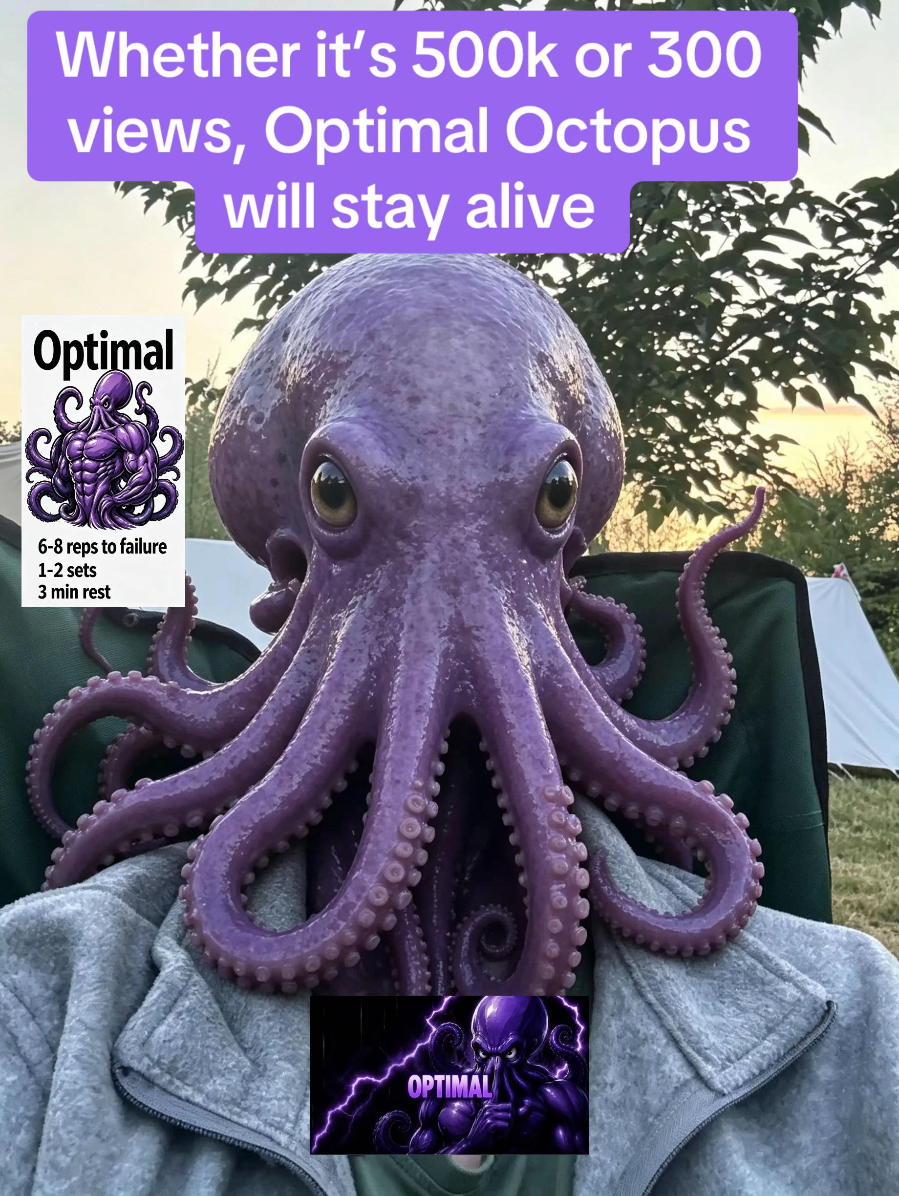 @Optimal Octopus
