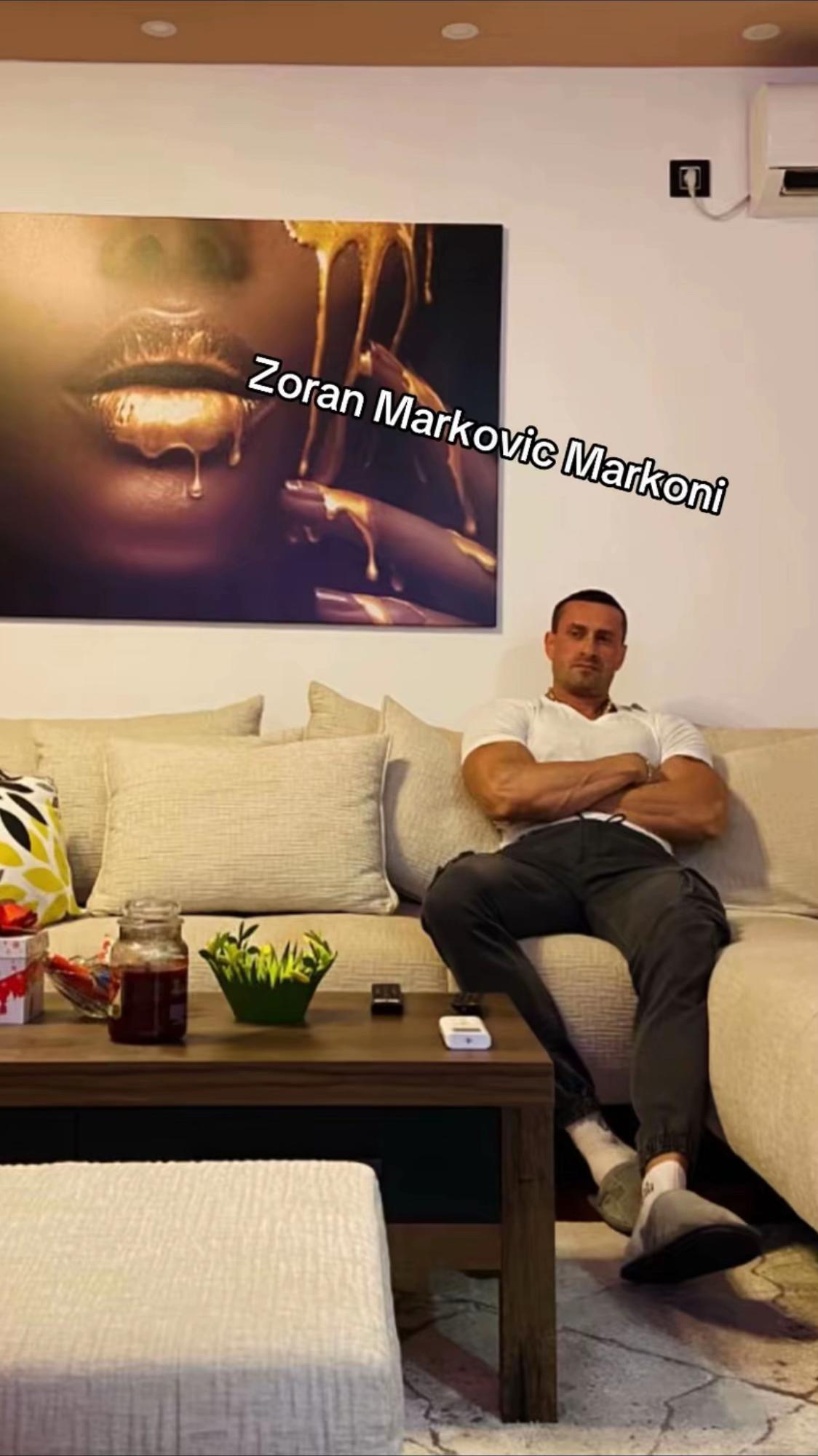 @balkan_bodybuilding
