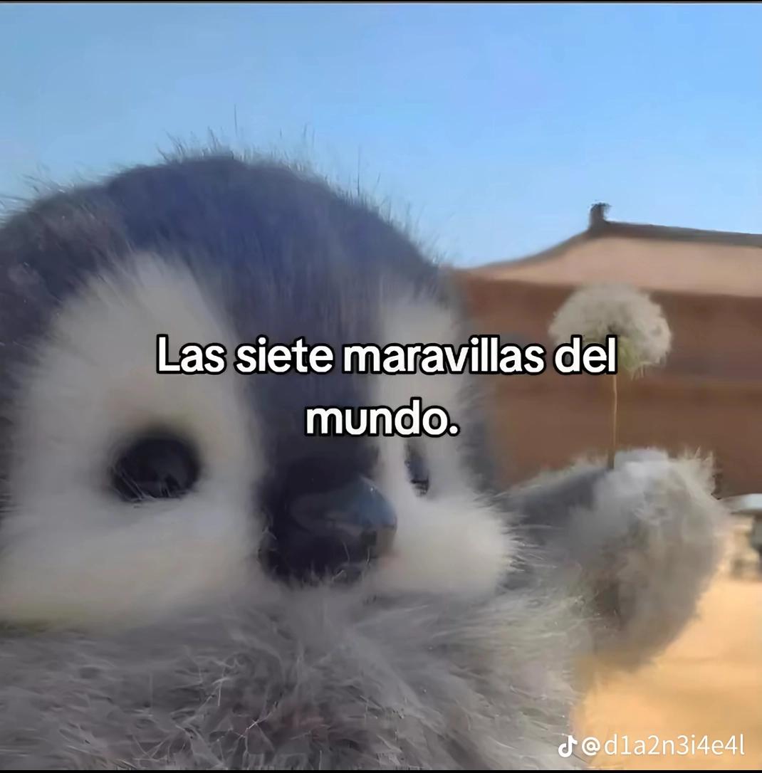 @MARIA ☆😸